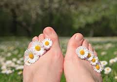 daisy feet